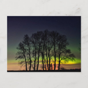 Cartão Postal Luzes do Norte Manitoba Canadá Grande Pointe
