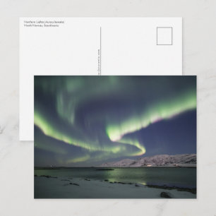 Cartão Postal Luzes do Norte Noruega