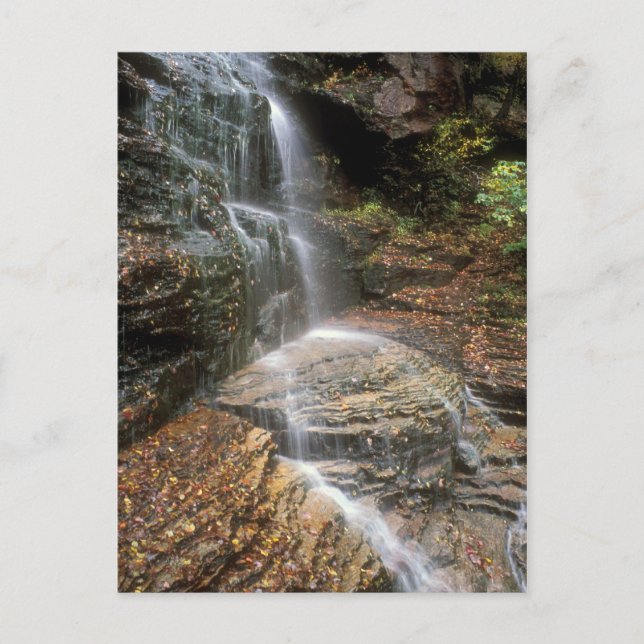 Cartão Postal Lye Brook Falls Vermont (Frente)