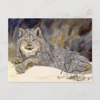 Cartão postal Lynx