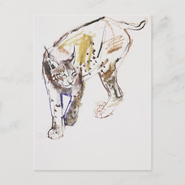 Cartão Postal Lynx Europeu (Frente)