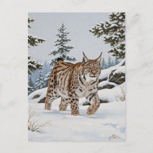 Cartão Postal Lynx na Suecia do Parque Nacional Fulufjället