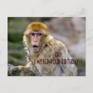 Cartão Postal Macaca sylvanus