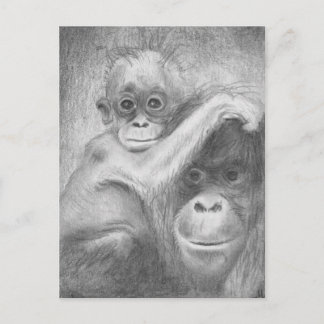 Cartão Postal Macaco