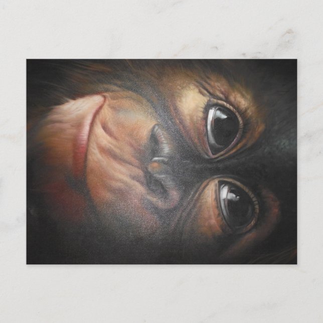 Cartão postal macaco (Frente)