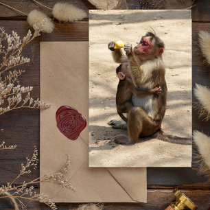 Cartão Postal Macaco - Café da Manhã das Mães