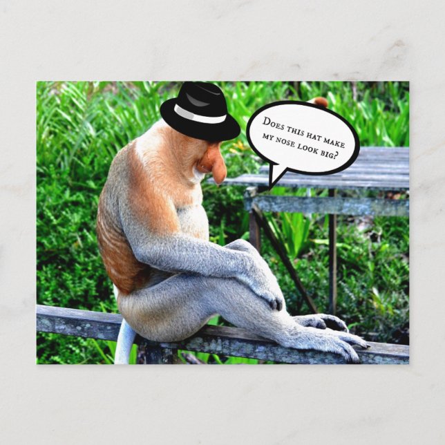 Cartão Postal Macaco da Proboscis. Isso faz meu nariz parecer gr (Frente)