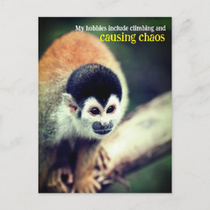 Cartão Postal Macaco-de-cheiro na árvore