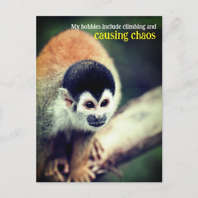 Cartão Postal Macaco-de-cheiro na árvore (Frente)