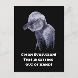 Cartão Postal Macaco de Evolução
