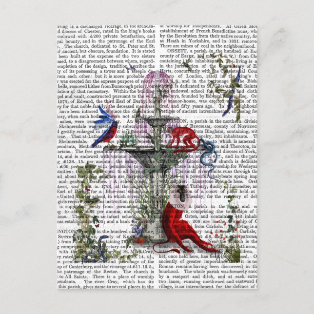 Cartão Postal Macaco Escarlet 2 (Frente)