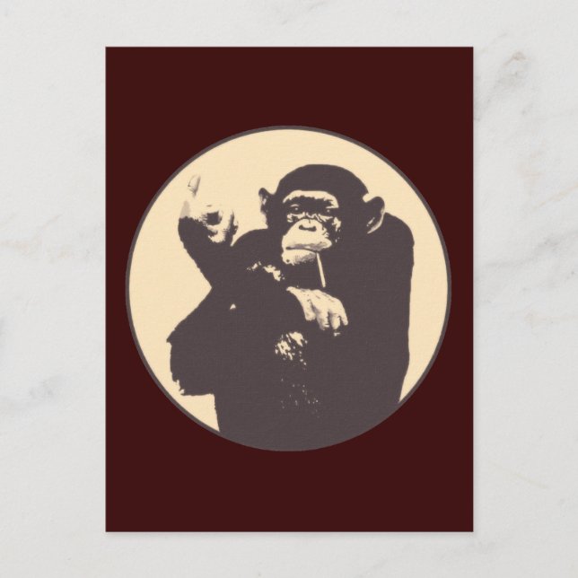 Cartão Postal Macaco insolente (Frente)