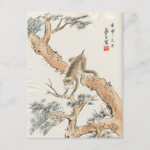 Cartão Postal Macaco Japonês
