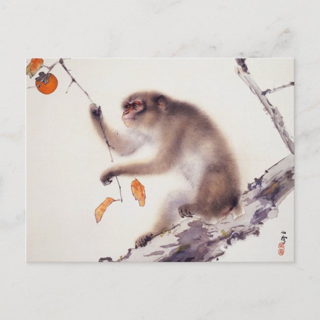 Cartão Postal Macaco numa Árvore Persimmon (Frente)