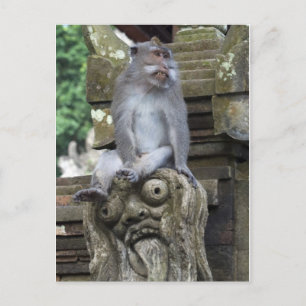 Cartão Postal Macaco que senta-se em uma estátua em Bali