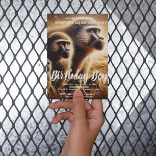 Cartão Postal Macacos brincalhões dançam no prado