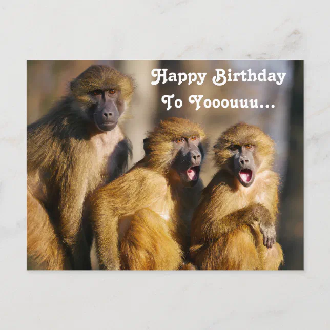 Cartão Postal Macacos Cantores Engraçados - Macacos Barbários