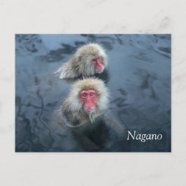 Cartão Postal Macacos-da-neve em Nagano, Japão
