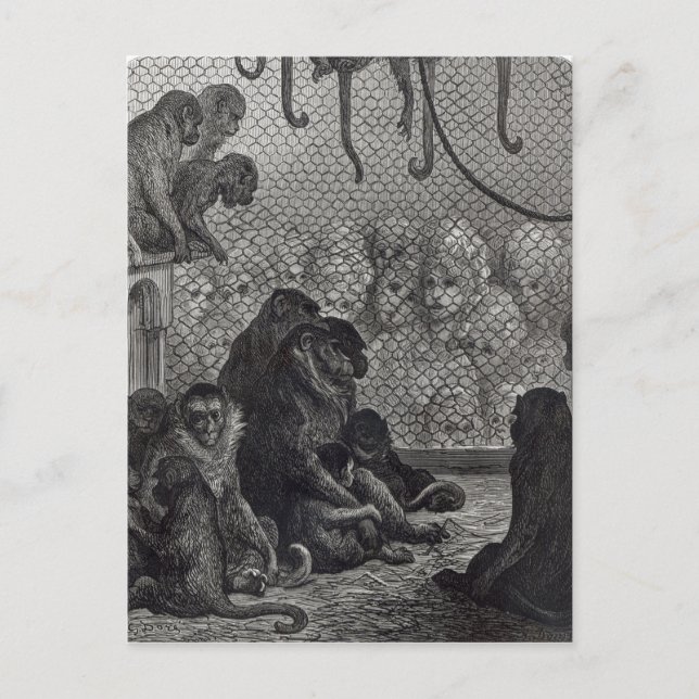 Cartão Postal Macacos de Londres (Frente)