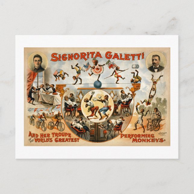 Cartão Postal Macacos de maior desempenho do mundo em 1892 (Frente)