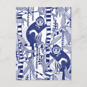 Cartão Postal Macacos na Selva
