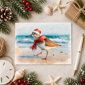 Cartão Postal Maçarico-de-natal na Praia