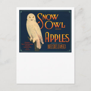 Cartão Postal Maçãs da Marca Snow Owl