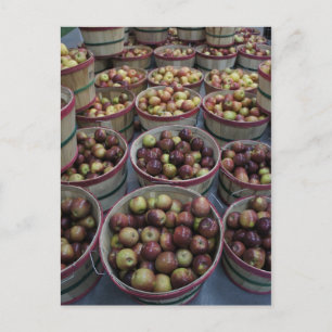 Cartão Postal Maçãs de outono