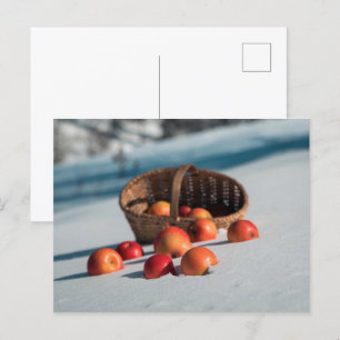 Cartão Postal Maçãs na neve