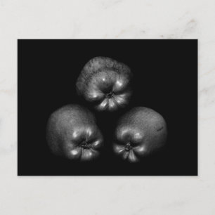 Cartão Postal Maçãs - Simples diversão Elegante de Belas Artes C