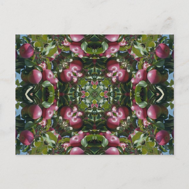Cartão Postal Maçãs vermelhas na arte Postcar do caleidoscópio (Frente)