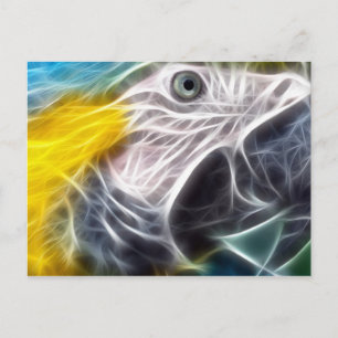 Cartão Postal Macaw azul e Dourado