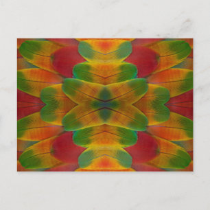 Cartão Postal Macaw parrot feather kaleidoscope