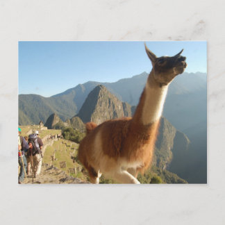 Cartão Postal Macchu Picchu