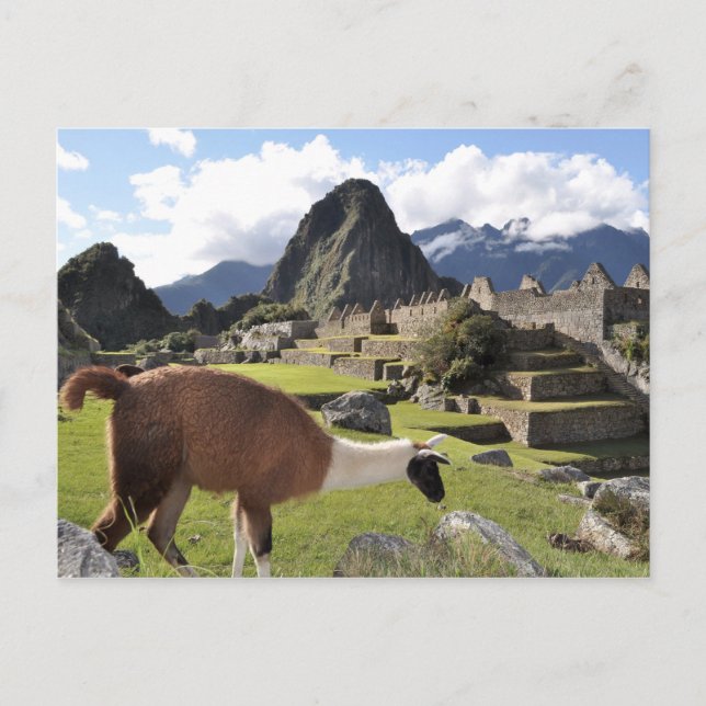 Cartão Postal Machu Picchu (Frente)