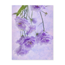 Macro Flores de Campanela Roxas