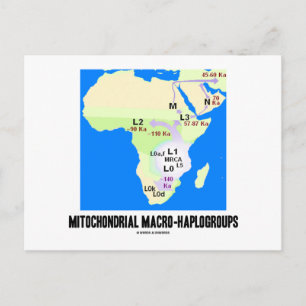 Cartão Postal Macro-Haplogrupos mitocondriais (Genealogia MRCA)