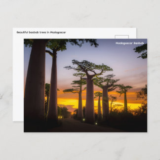 Cartão postal Madagáscar