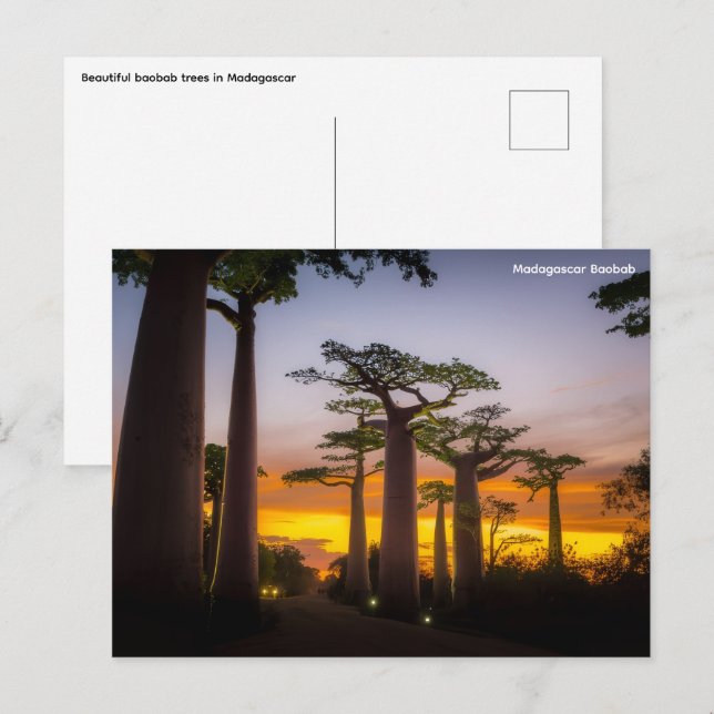 Cartão postal Madagáscar (Frente/Verso)