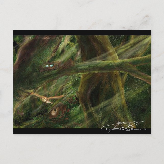 Cartão Postal Madeira (Frente)