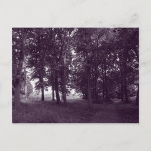 Cartão Postal Madeira, Bute Park Cardiff - Tom tonal roxo