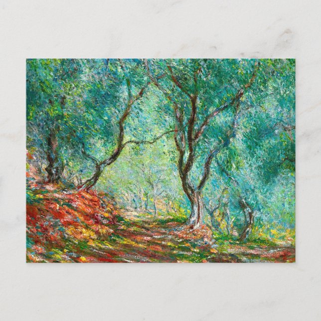 Cartão Postal Madeira de oliveira no Jardim Moreno, 1884 (Frente)