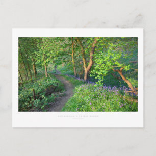 Cartão Postal Madeira de Primavera de algodão