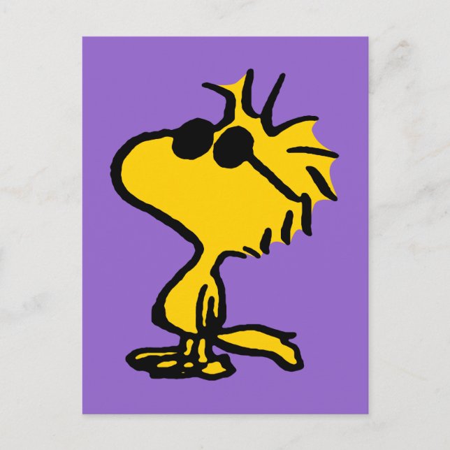 Cartão Postal Madeira Em Óculos De Sol (Frente)