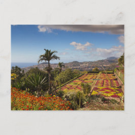 Cartão Postal Madeira - Jardim Botânico do Cartaz Funchal