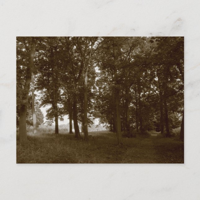 Cartão Postal Madeira, Parque Bute Cardiff - Tom sepia (Frente)