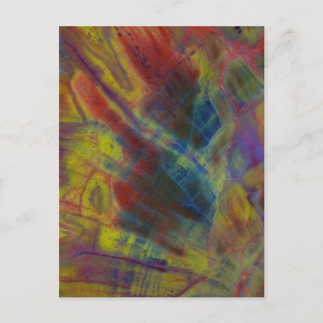 Cartão Postal Madeira Petrificada Vertical (Frente)