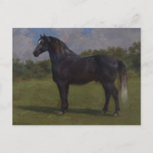 Cartão Postal Madere, por Rosa Bonheur
