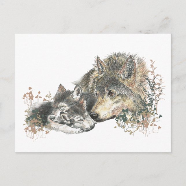 Cartão Postal Madre-aquarela Wolf & Cubs Animal Art (Frente)