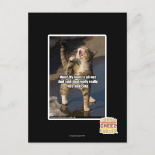 Cartão Postal Mãe!